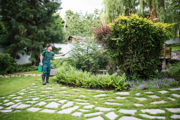 Best Affordable Pest Control Services  in Kenton, TN