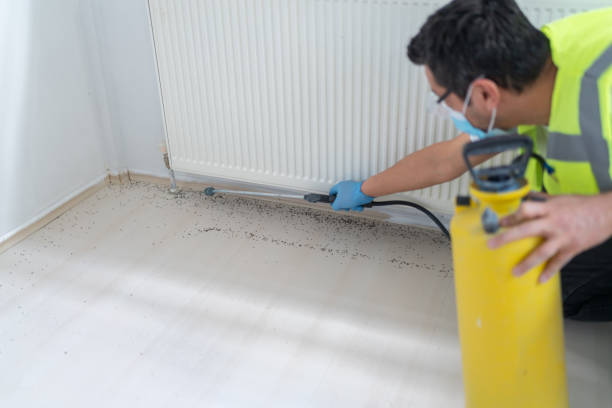 Professional Pest Control in Kenton, TN